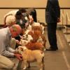 Sweepstakes Breeder-Judge  Dennis Balanag going down the lineup for Best In Sweepstakes competition.