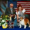 Best of Breed, GCH B-LOVED NOTHING BUT NET