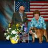 Best of Winners/Winners Dog, NEWCOMB'S SCARLET CASANOVA